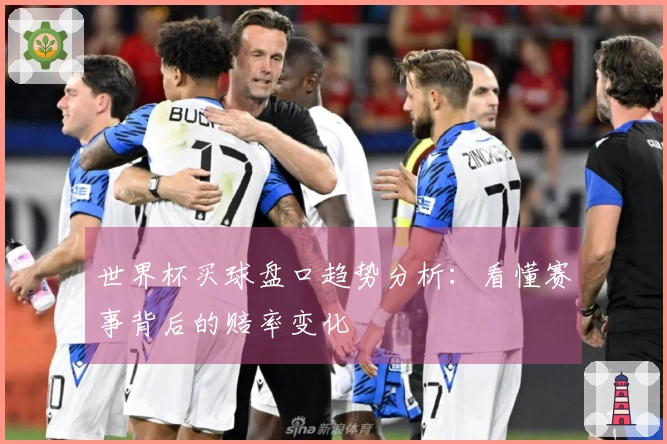 世界杯买球盘口趋势分析：看懂赛事背后的赔率变化