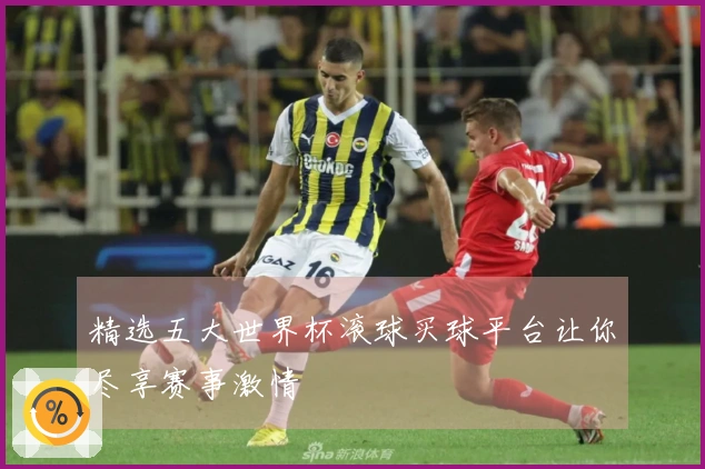 精选五大世界杯滚球买球平台让你尽享赛事激情