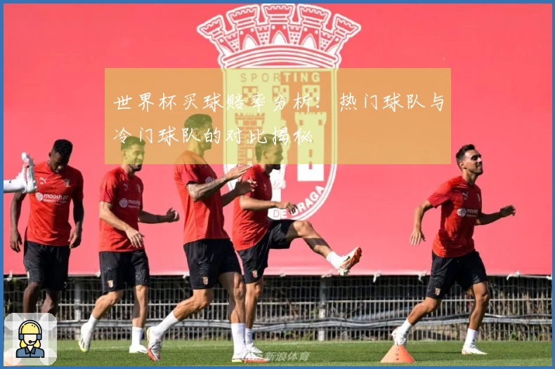 世界杯买球赔率分析：热门球队与冷门球队的对比揭秘