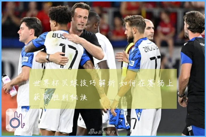 世界杯买球技巧解析 如何在赛场上获取胜利秘诀