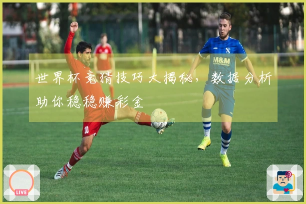世界杯竞猜技巧大揭秘，数据分析助你稳稳赚彩金