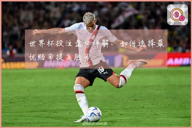 世界杯投注盘口详解，如何选择最优赔率提高胜率