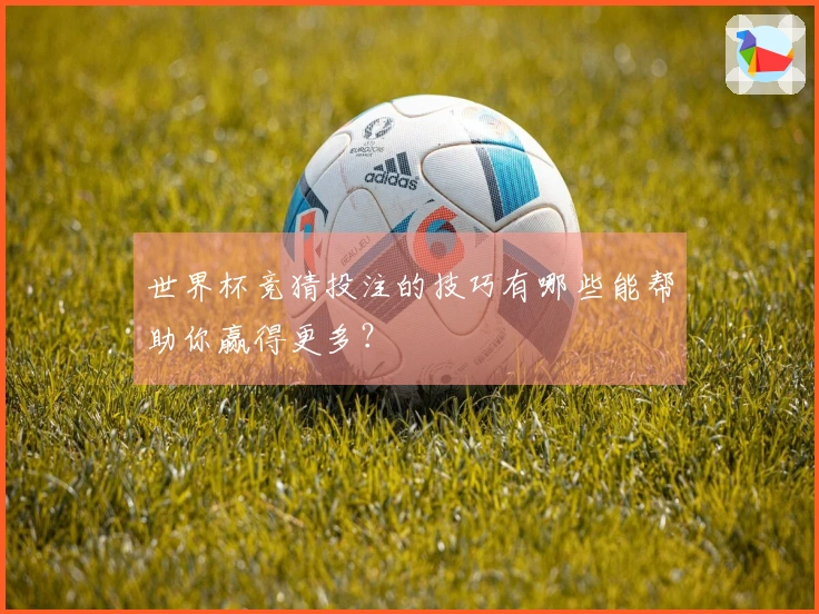 世界杯竞猜投注的技巧有哪些能帮助你赢得更多？