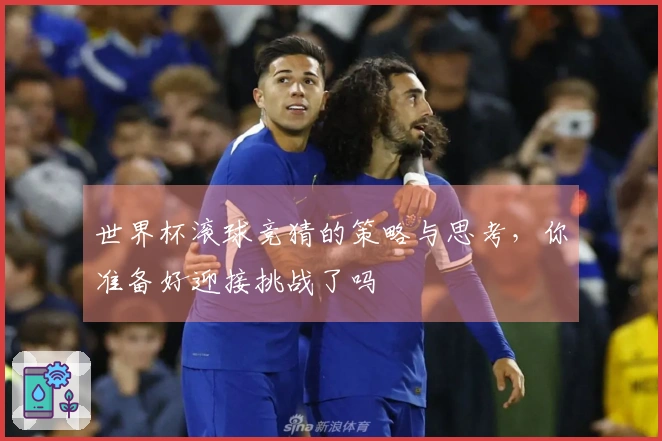 世界杯滚球竞猜的策略与思考，你准备好迎接挑战了吗