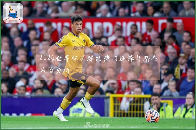 2026世界杯买球的热门选择与潜在风险分析