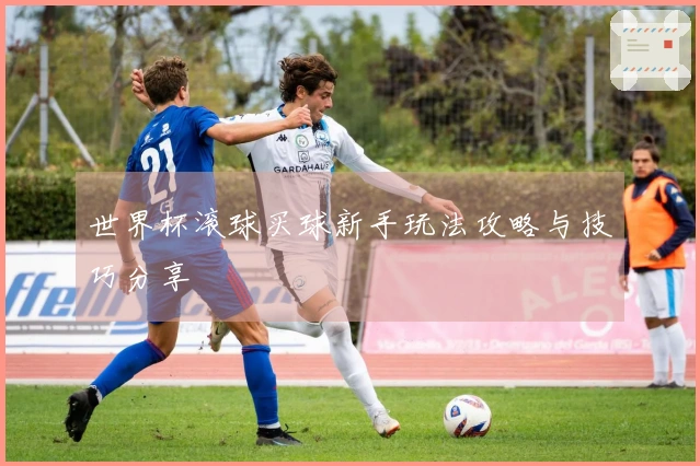 世界杯滚球买球新手玩法攻略与技巧分享